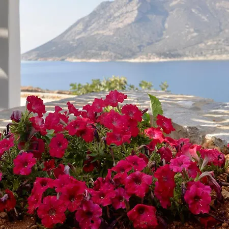 Inn Amorgos Delight *